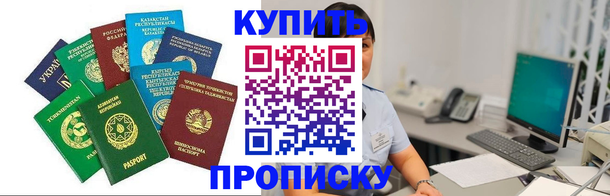 прописка в Елизово